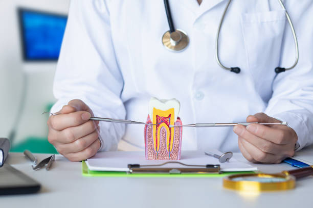 Best Weekend Emergency Dental Services in Gladstone, MI
